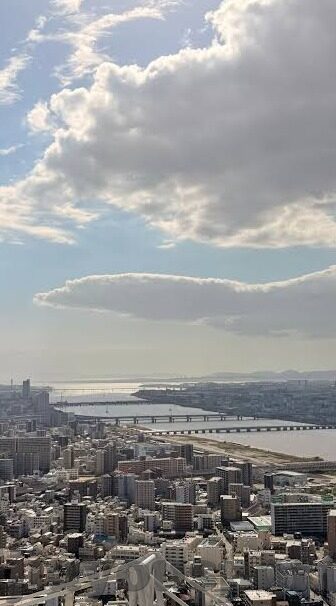 巴恩斯利足球比分-巴恩斯利足球比分，赛场风云中的数据密码