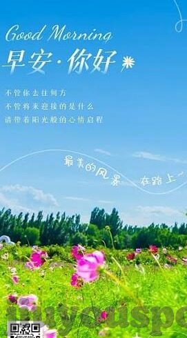 伊朗对立陶宛足球比分-伊朗与立陶宛足球对决，一场跨越地域的绿茵激战与背后故事
